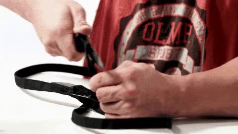 giphy (46).mp4